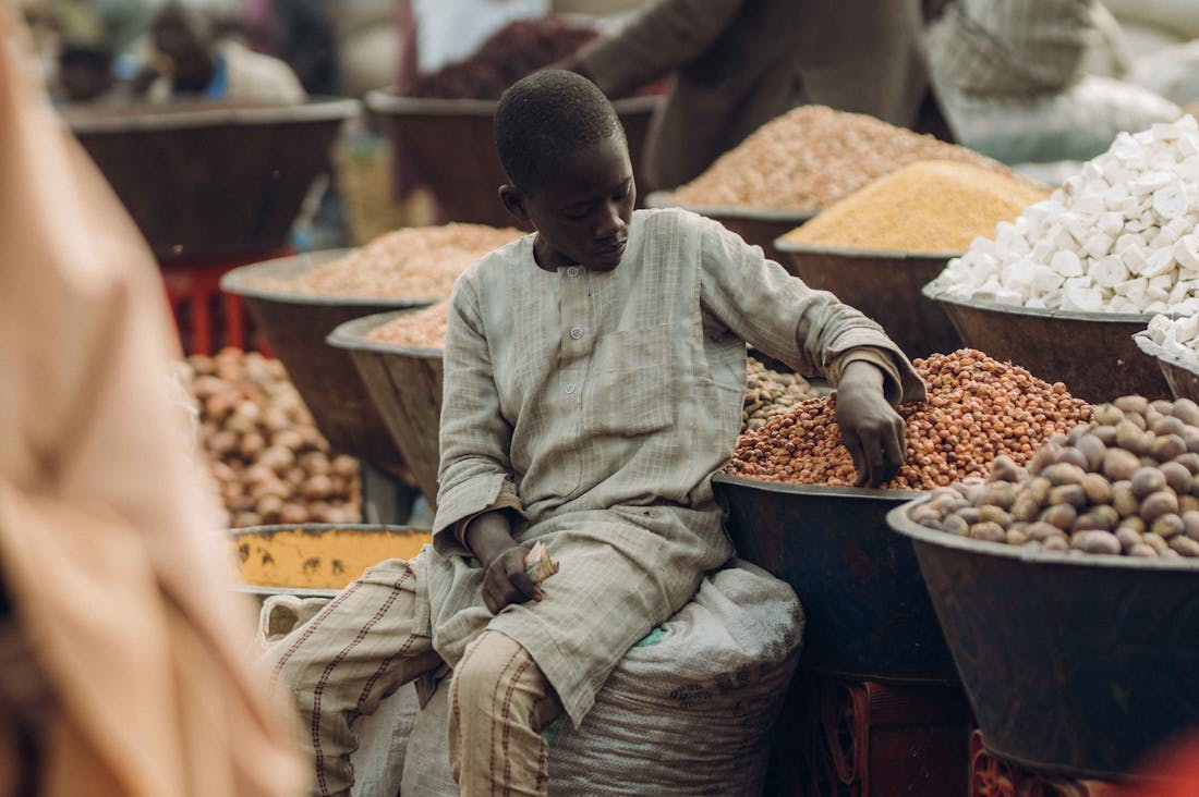 Traveling Sustainably: Tips for an Eco-Friendly Adventure Image 3