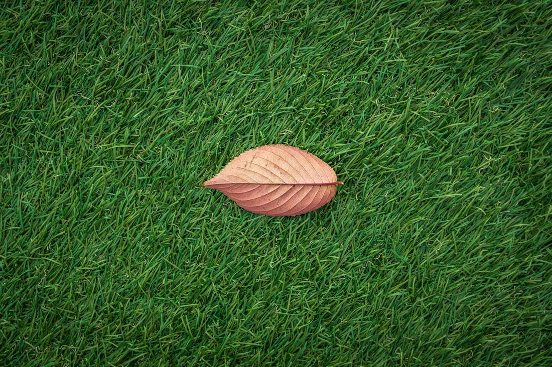 Traveling Sustainably: Tips for Eco-Friendly Adventures Around the Globe Image 2