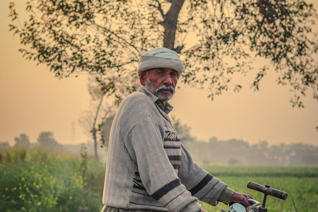 Traveling Sustainably: Tips for Eco-Friendly Adventures Without Compromise Image 3