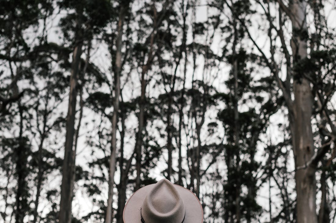 Traveling the World Responsibly: Essential Practices for Sustainable Tourism in the 21st Century Image 2