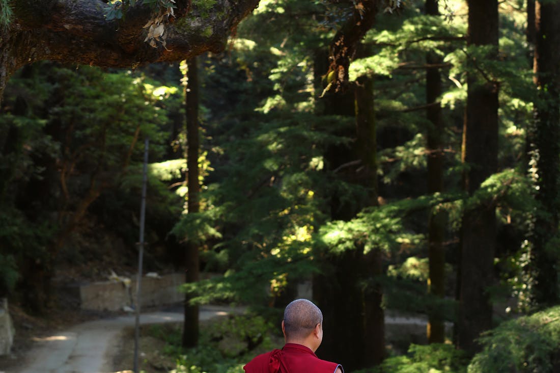 Traveling While Mindful: How to Enhance Your Journey Through Awareness Image 3