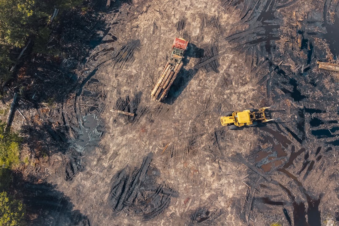 Trends in Auto Technology Shaping the Future of Transportation Image 1