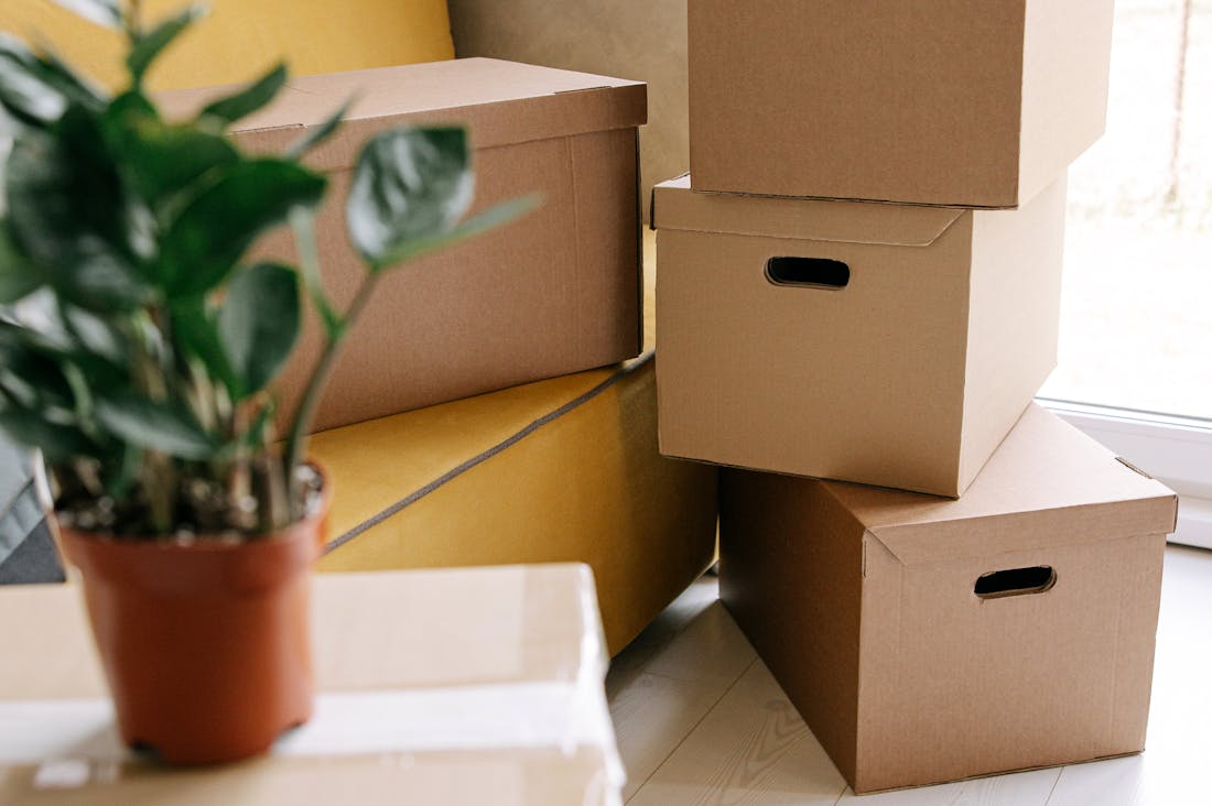 Trends in Healthy Eating: Shifts Towards Plant-Based Diets and Nutritional Insights Image 3