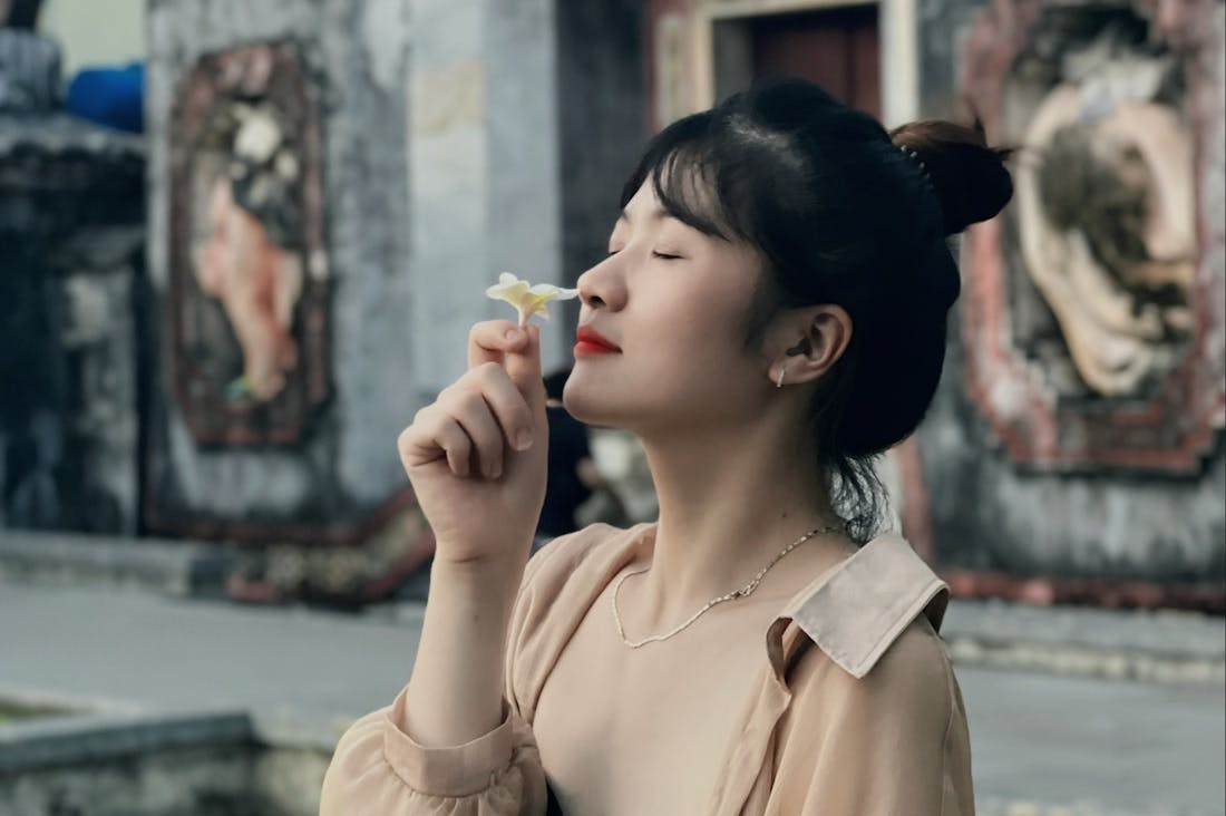 Ultimate Guide to Sustainable Travel: Making Eco-Friendly Choices Image 3