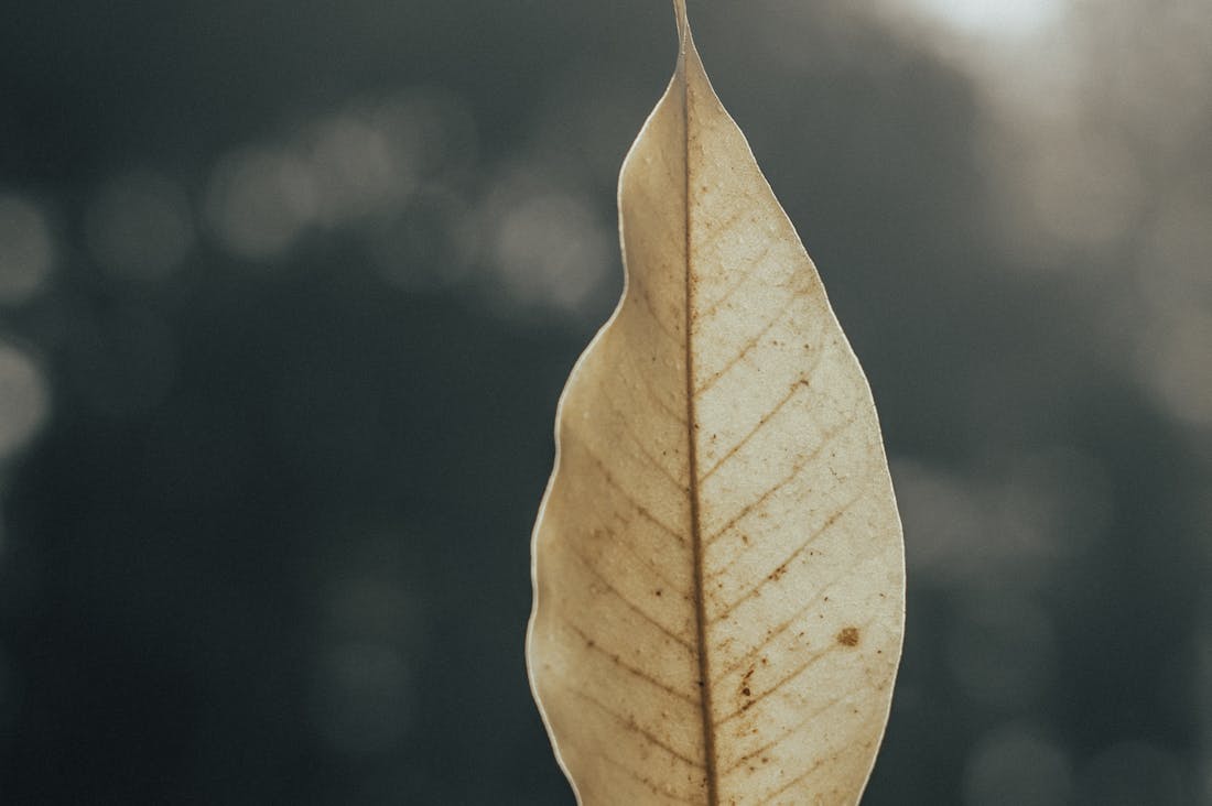 Unconventional Lifestyle Choices That Promote Personal Growth Image 1