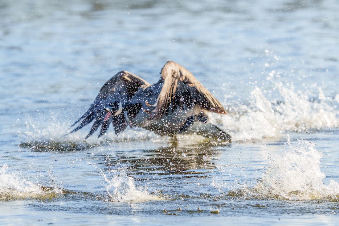 Understanding the Technological Shift: Future Trends Shaping Our Lives Image 2