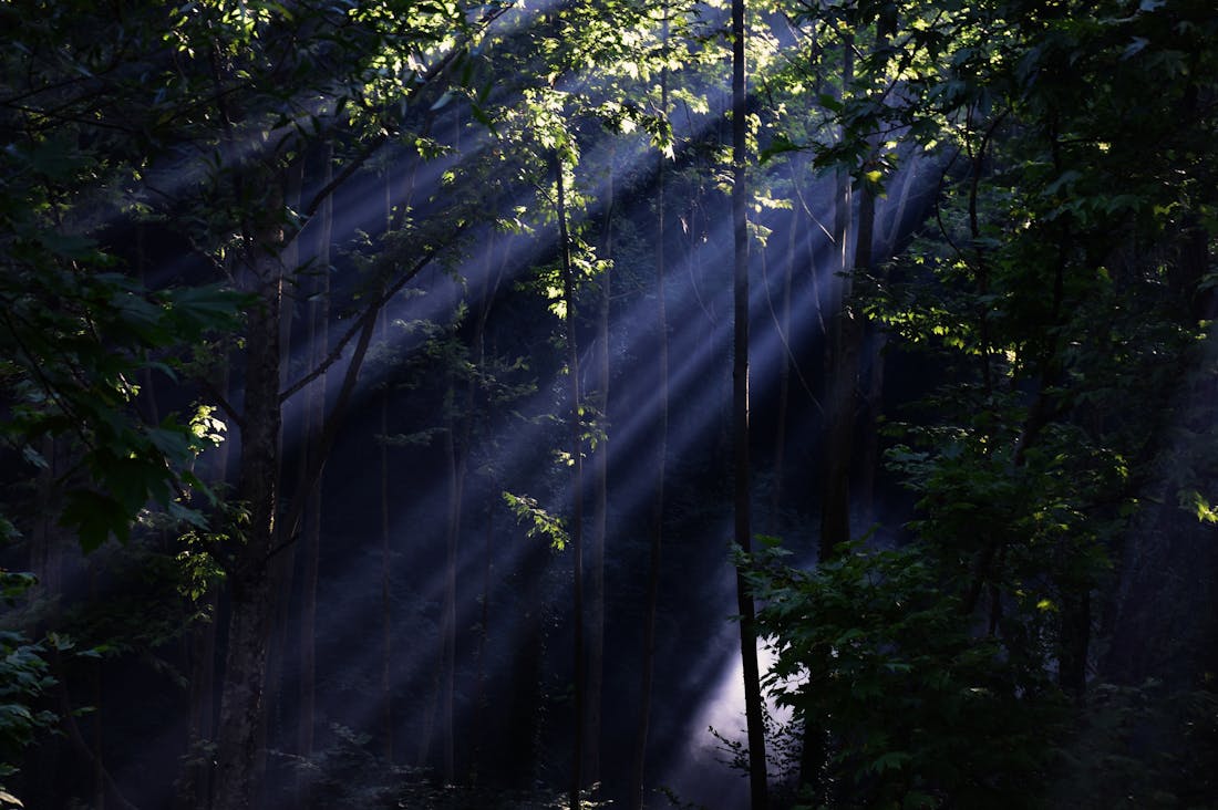 Unique Activities to Enhance Your Next Road Trip Experience Image 2