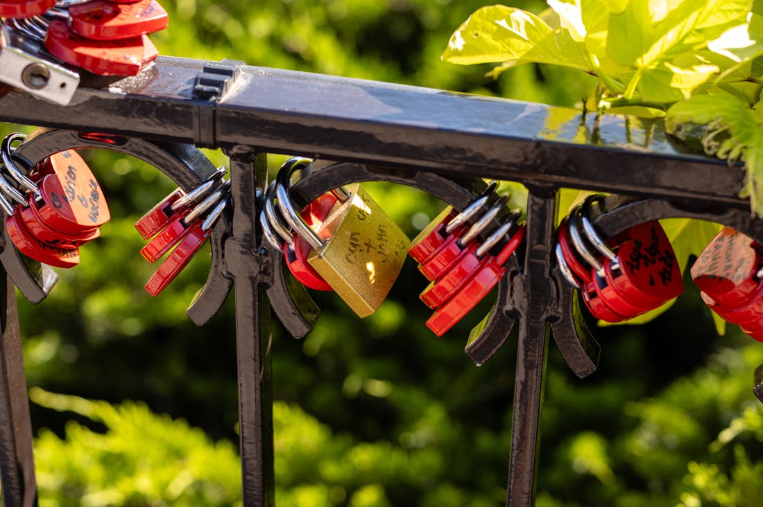 Unique Approaches to Cultivating a Rich Life Experience Image 3