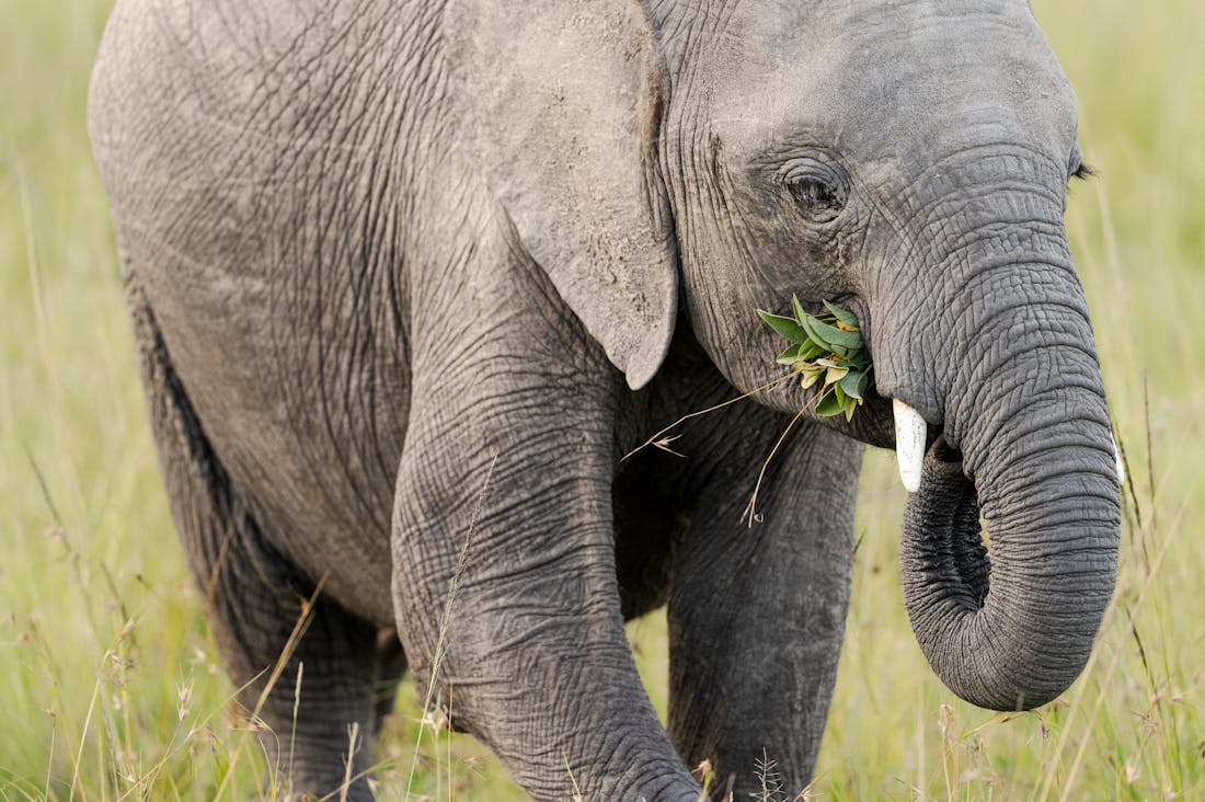 Unique Outdoor Adventures That Foster Connection with Nature and Wellness Image 1