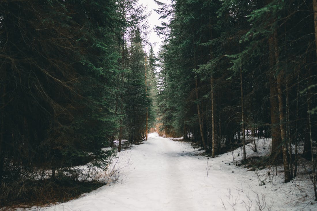 Unique Travel Experiences to Inspire Your Next Adventure Image 2