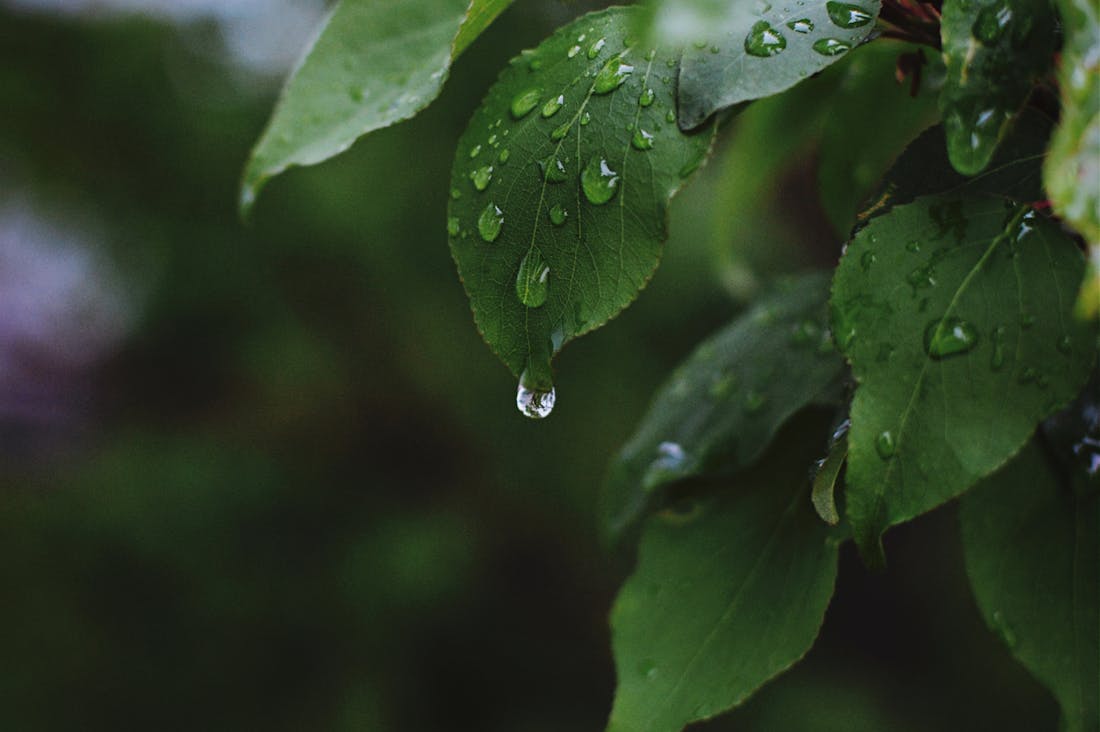 Unlocking Clarity: Comprehensive Strategies for Achieving Mental and Emotional Well-being Image 1