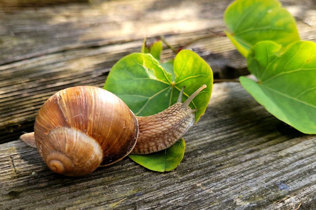 Unlocking Holistic Health: The Interconnection Between Mindfulness and Nutrition for a Balanced Lifestyle Image 1