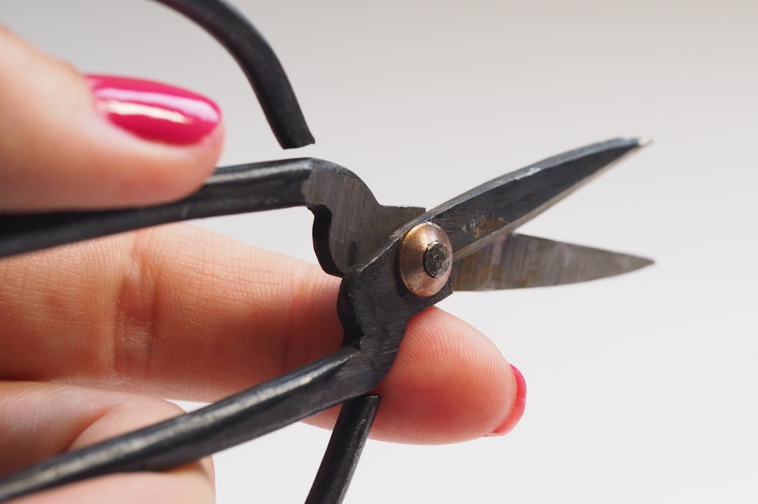 Unlocking the Secrets of Mindful Living: How to Cultivate Presence in a Digitally Distracted World Image 2