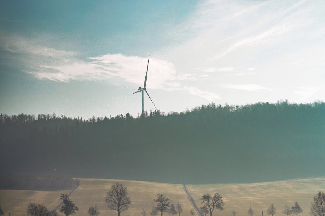 Unlocking the Secrets to a Sustainable Lifestyle: Simple Changes for a Greener Tomorrow Image 1