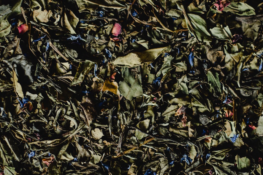 Unlocking the Secrets to Holistic Health: Integrating Mind, Body, and Spirit for Optimal Well-being Image 2