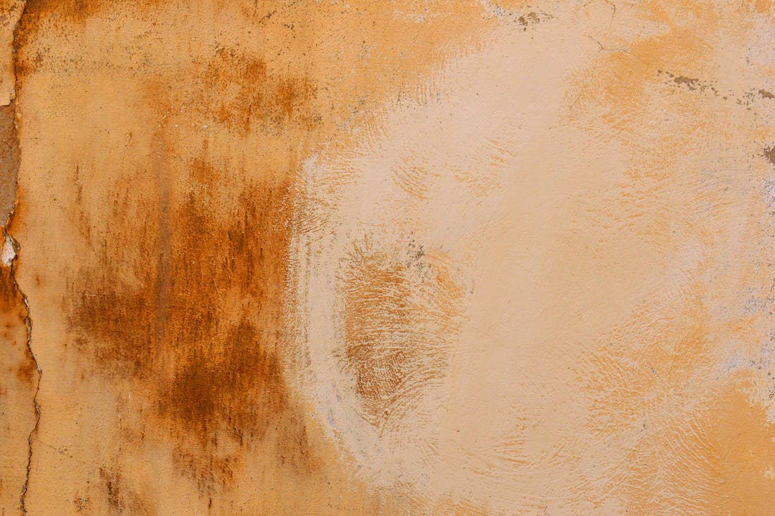 Unlocking the Secrets to Mental Wellness: Nurturing Your Mind in a Fast-Paced World Image 3