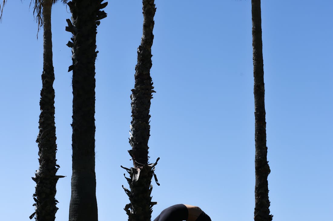 Unlocking the Secrets to Optimal Health: How Nutrition, Exercise, and Mindfulness Intersect Image 3