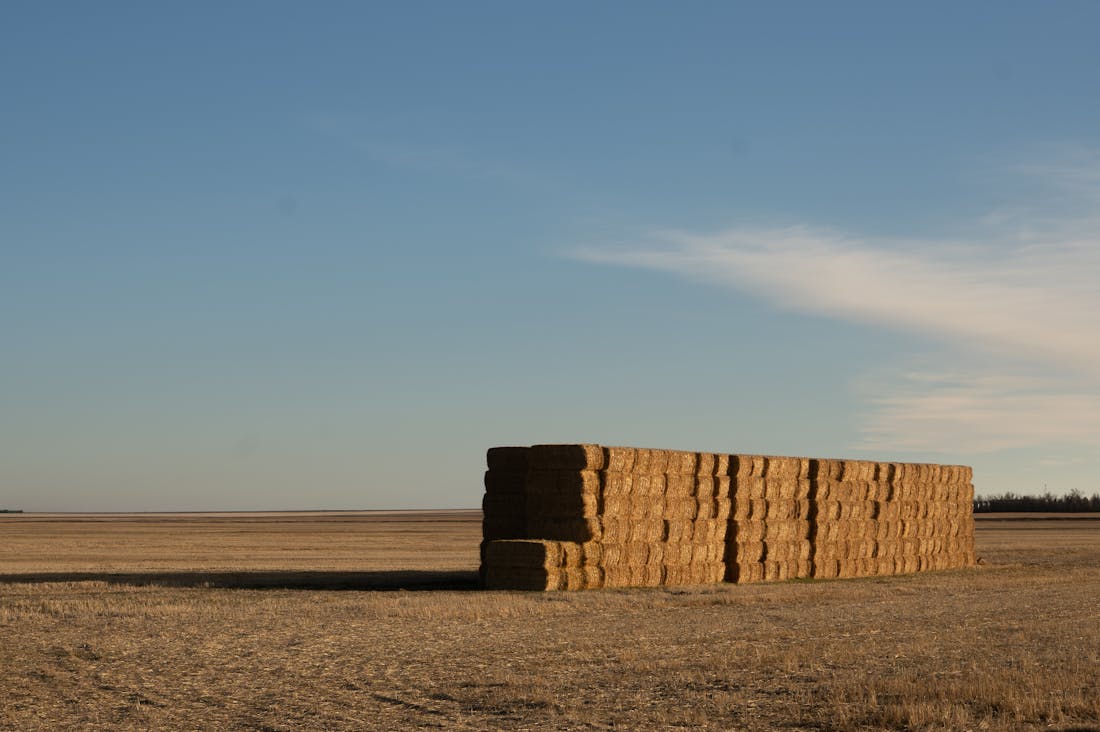 Unlocking the Secrets to Sustainable Living: Simple Steps for a Greener Lifestyle Image 1