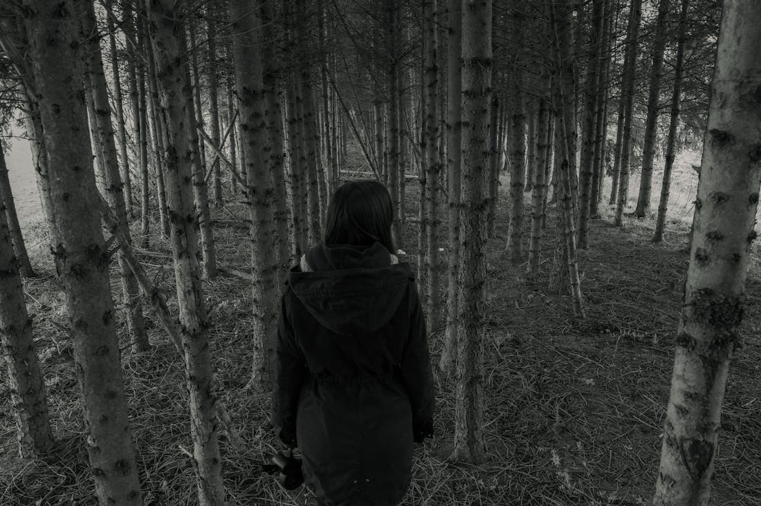 Unlocking Your Mind: The Surprising Benefits of Daily Meditation for a Healthier Life Image 2