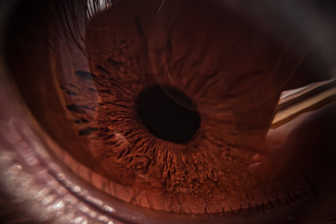 Unpacking the Trends in Wellness Tech: Innovations Shaping Our Health Choices Image 2