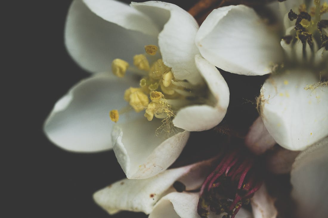 Unveiling Hidden Travel Gems for Your Next Adventure Image 3