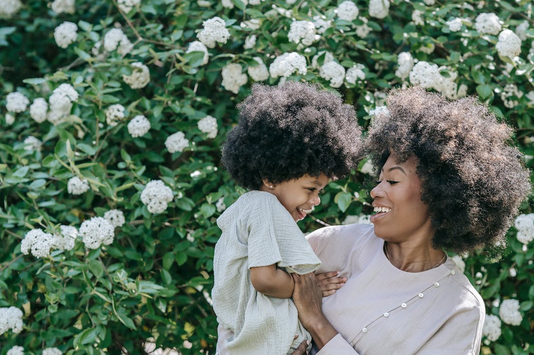 Vehicle Maintenance Tips for Longevity and Performance Image 2