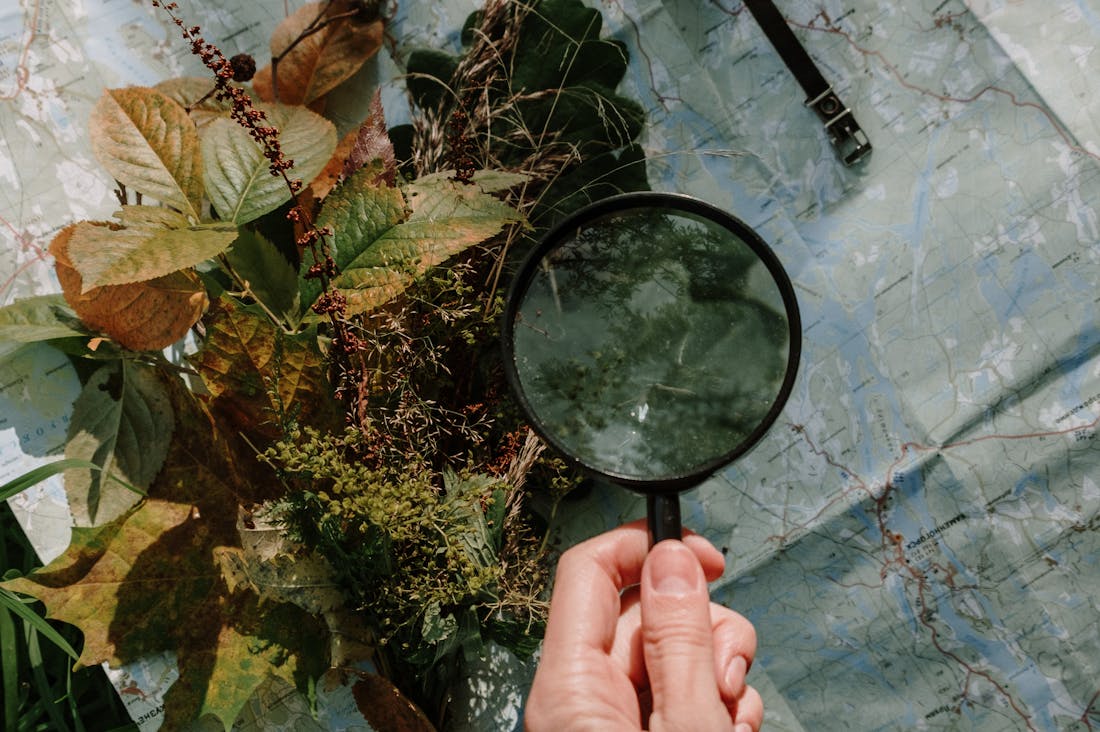 Wanderlust and Wellness: How Travel Enriches Your Mental Health and Personal Growth Image 2