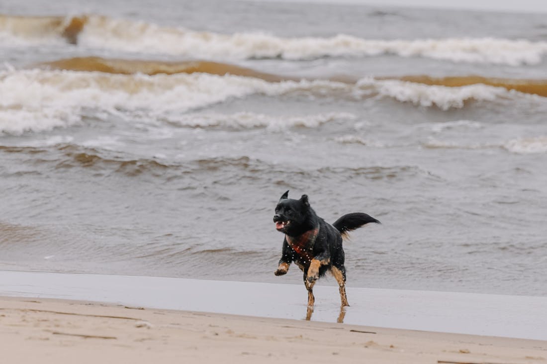 Wanderlust and Wellness: The Intersection of Travel and Healthy Living Image 3