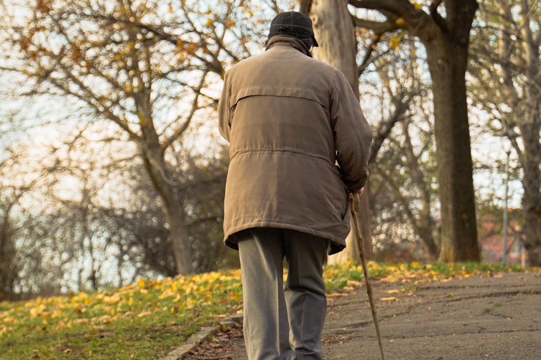 Ways to Boost Immunity Naturally for a Healthier Lifestyle Image 2