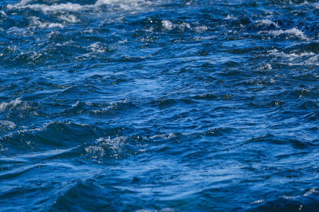 Wellness Rituals That Enhance Daily Productivity and Mental Clarity Image 3