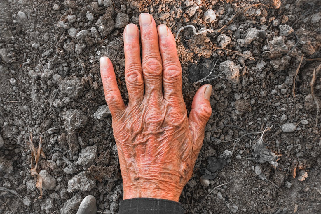 Work-Life Harmony: Exploring the Balance Between Career Ambitions and Personal Well-being