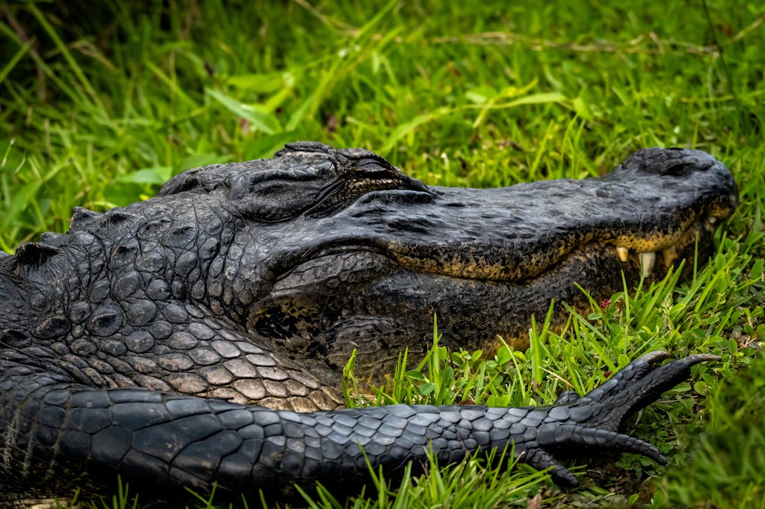 Your Tech Toolkit: Essential Gadgets and Applications for Everyday Efficiency Image 2