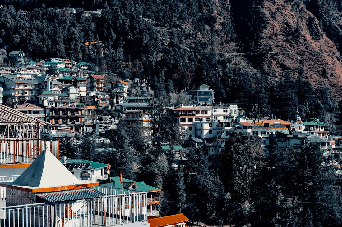 Exploring the Art of Travel: How Cultural Immersion Enhances Your Experience Image 3