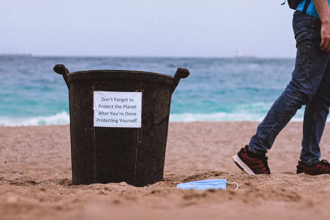 Sustainable Living: Practical Steps to Reduce Your Environmental Impact and Live Greener Image 1