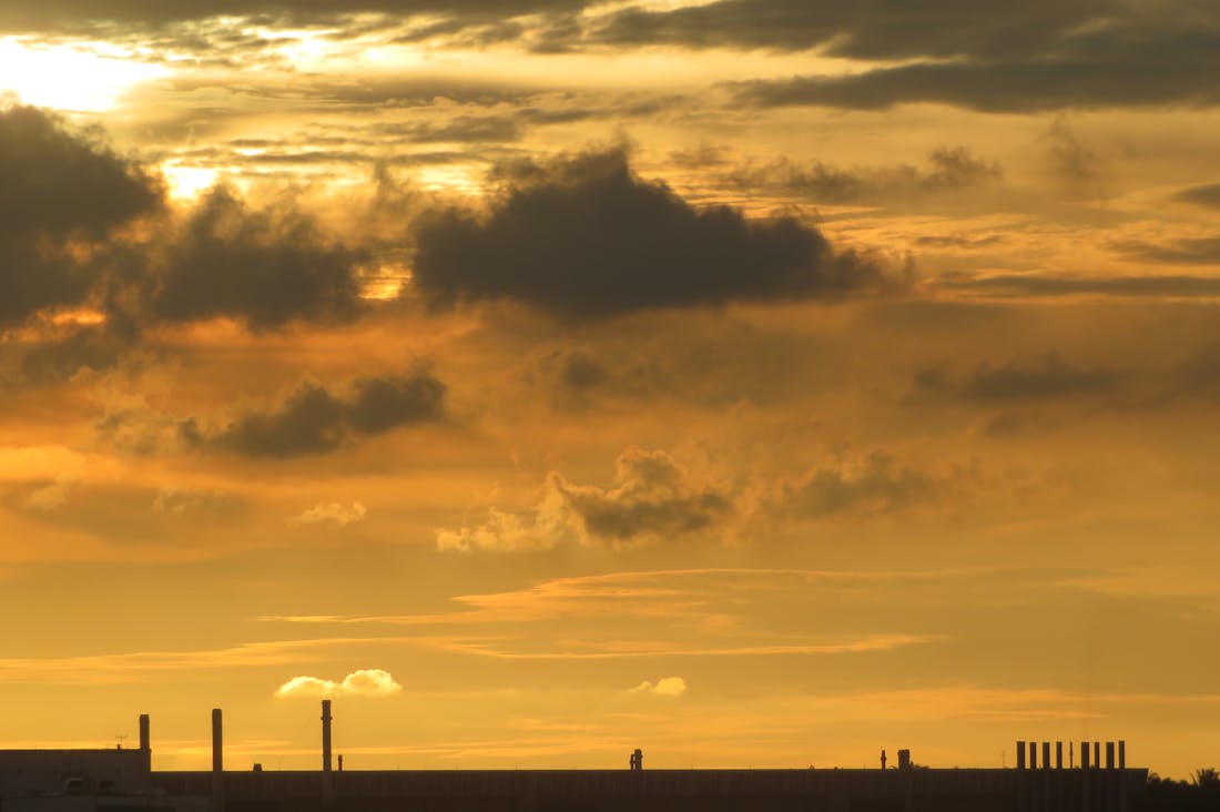 Energizing Morning Routines to Boost Productivity and Well-Being Image 1