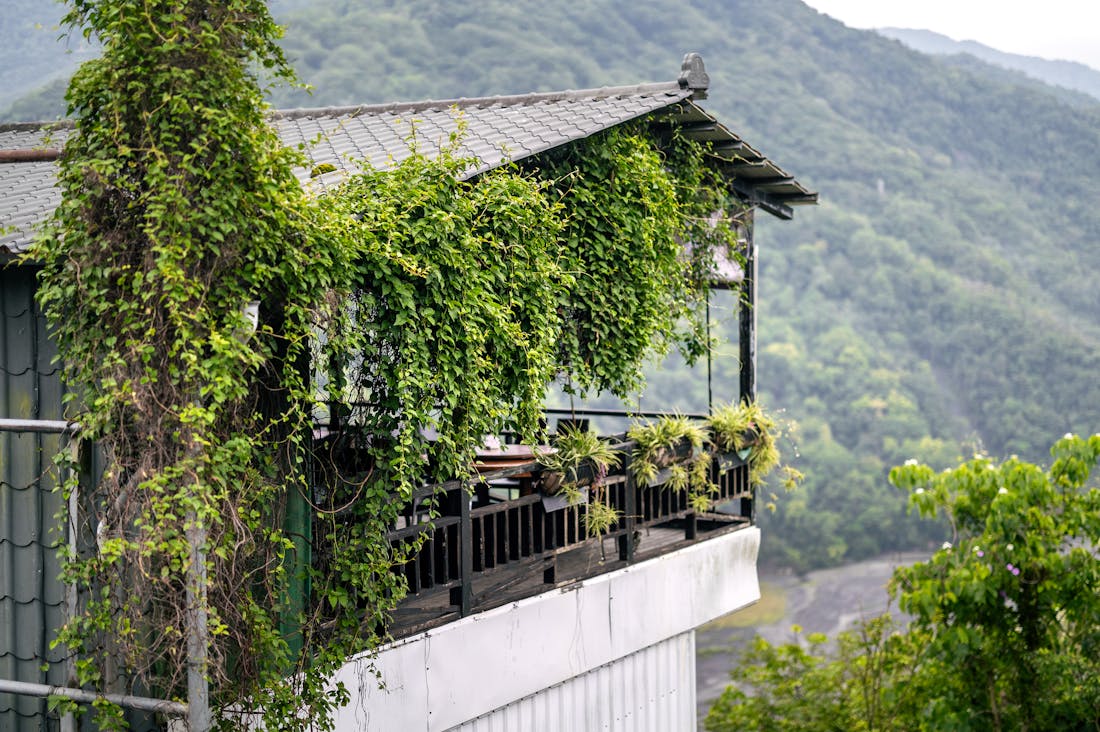 Impactful Travel: How Journeys Shape Personal Growth and Community Connection Image 1