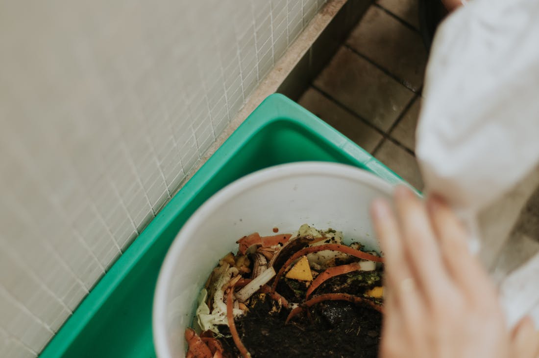 Transformative Lifestyle Changes for Sustainable Living and Wellness Image 2