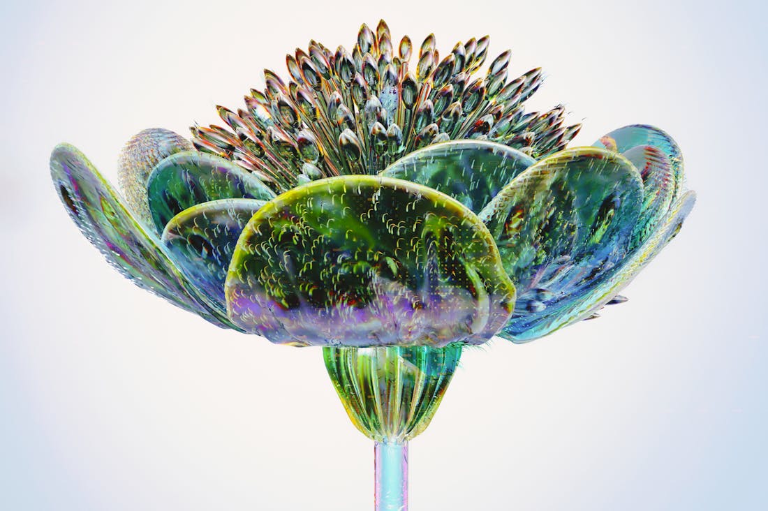Embracing Eco-Friendly Technology: Practical Solutions for Sustainable Living in the Modern World Image 1