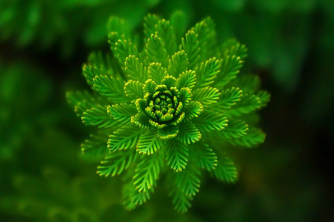 The Ultimate Guide to Building a Sustainable Health Routine That Lasts Image 1