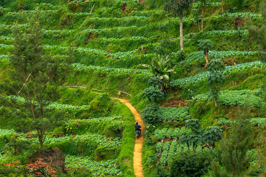 Exciting Destinations to Consider for Your Next Adventure Image 3