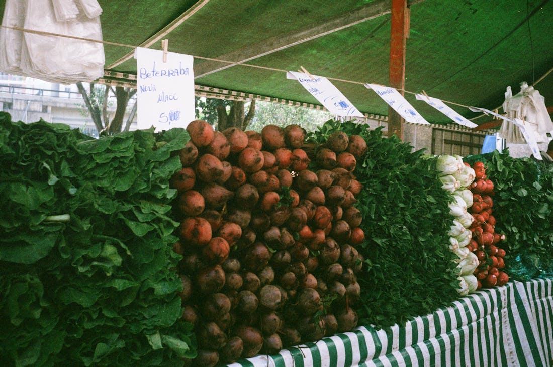 Integrating Sustainable Practices into Daily Living Image 2