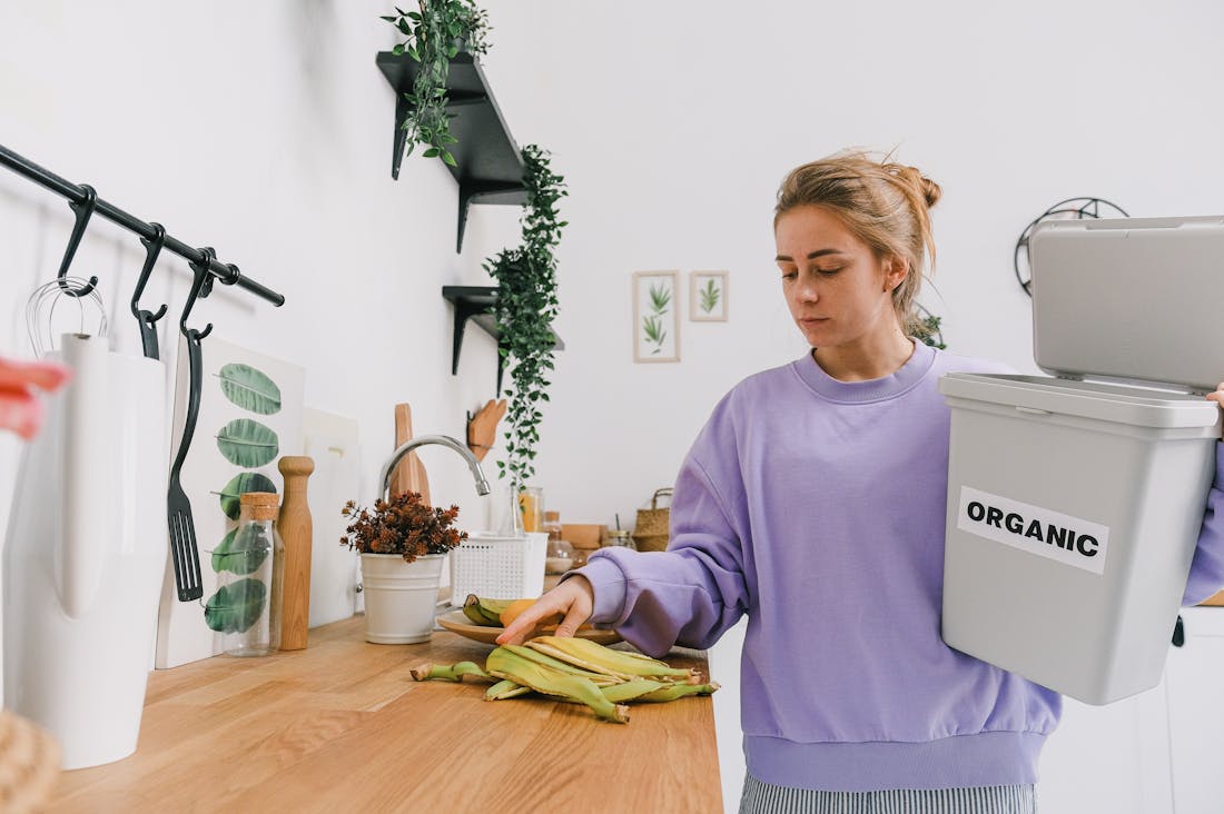 Sustainability Practices That Can Transform Daily Living Image 2