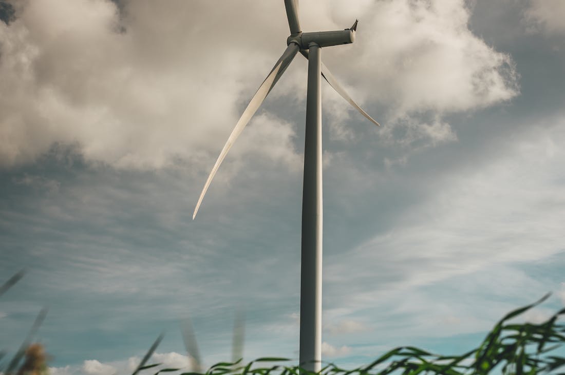 Creating a Sustainable Home: Simple Changes for a Greener Lifestyle Image 1