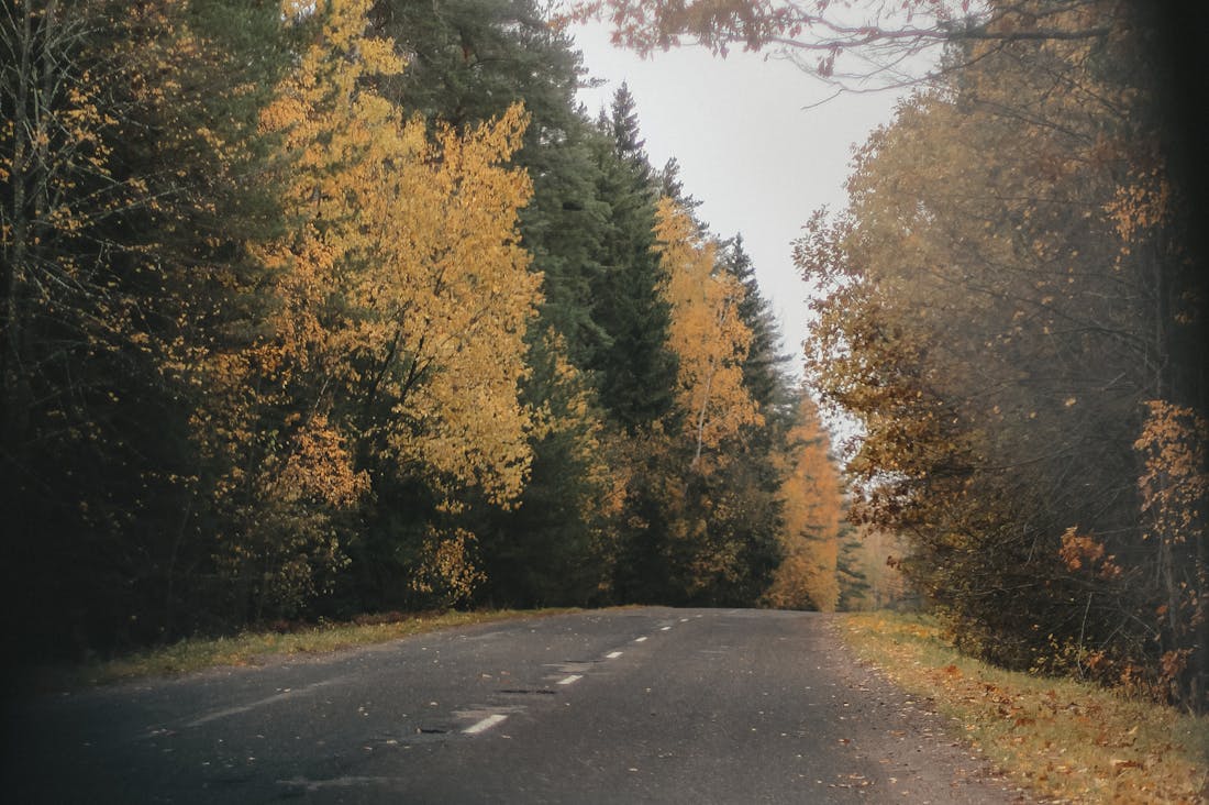Top Tips for Optimal Vehicle Maintenance and Longevity Image 2
