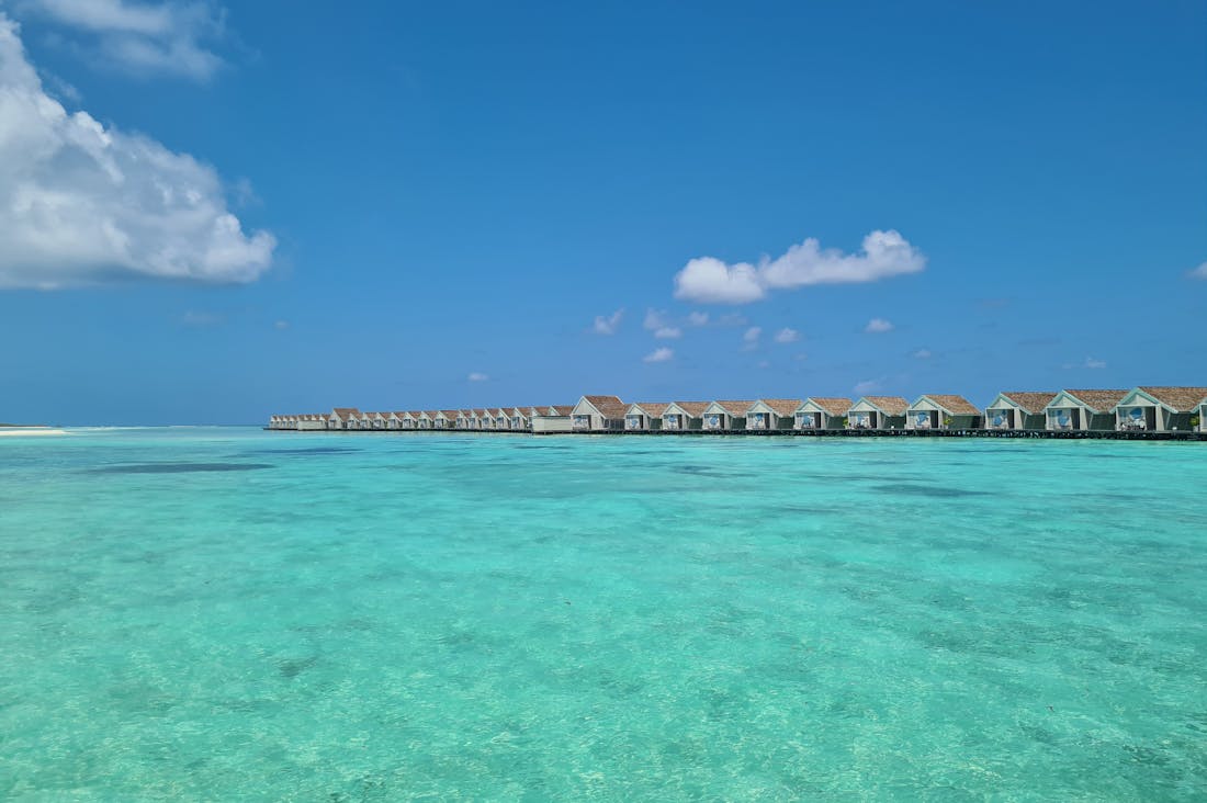 Transform Your Next Escape with Unique Travel Experiences Beyond the Ordinary Image 3