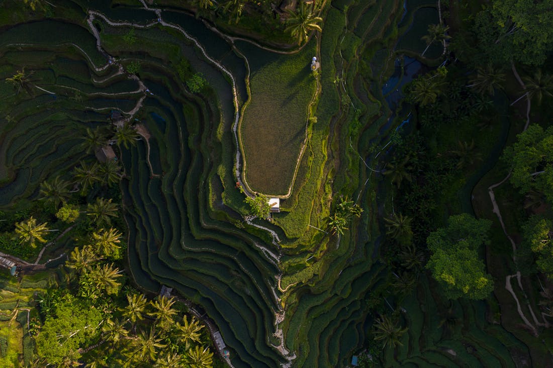 Exploring the Connection Between Travel and Mental Health: How Adventures Enhance Your Mind Image 2