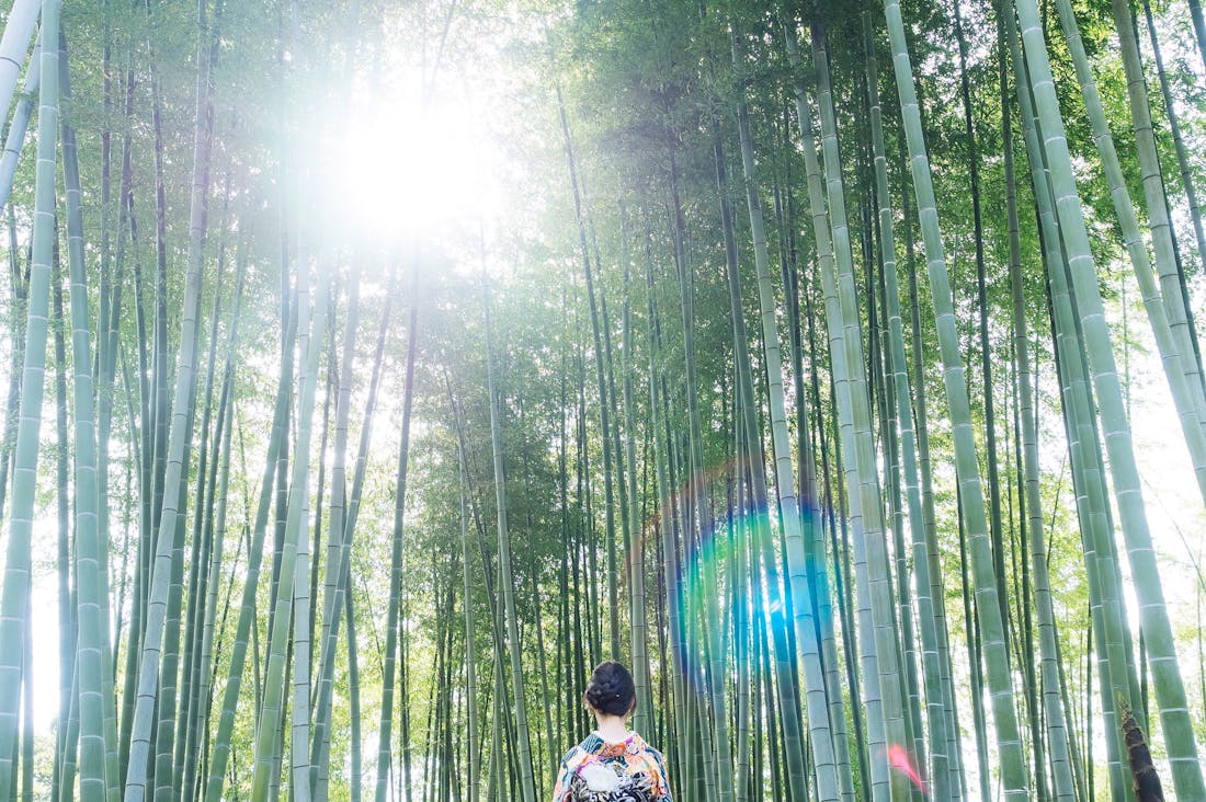 Wanderlust Unleashed: Discovering Hidden Gems and Authentic Experiences in Travel Image 2