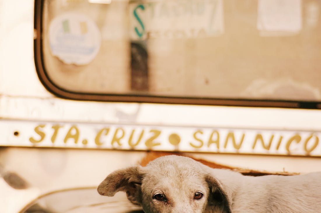 Effective Strategies for Sustainable Travel Without Compromising Fun Image 2
