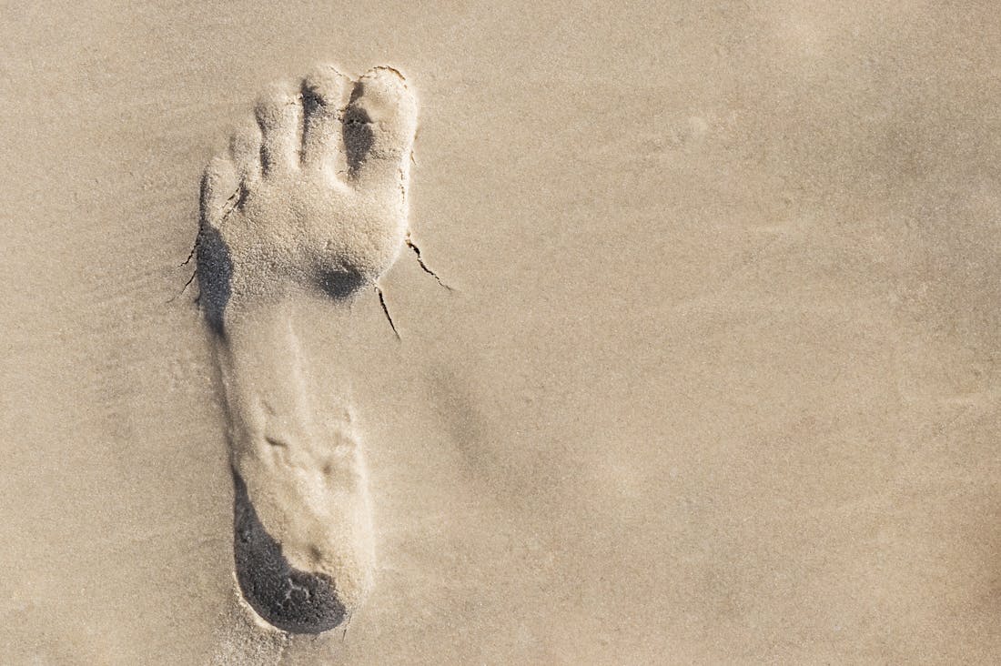 Transforming Travel Experiences with Sustainable Choices for Eco-Conscious Travelers Image 1
