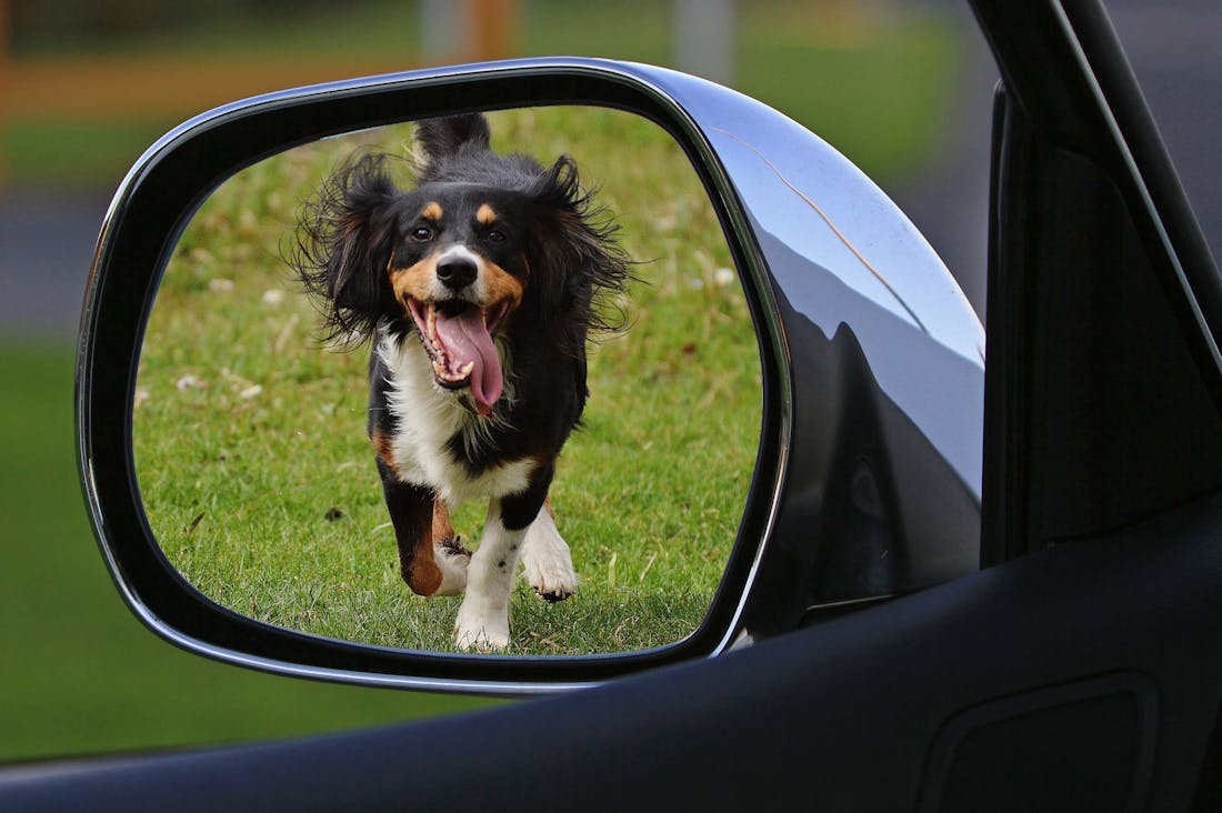 Essential Tips for Smart Vehicle Maintenance to Extend Your Car's Life Image 1